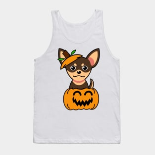 Funny small dog is in a pumpkin Tank Top